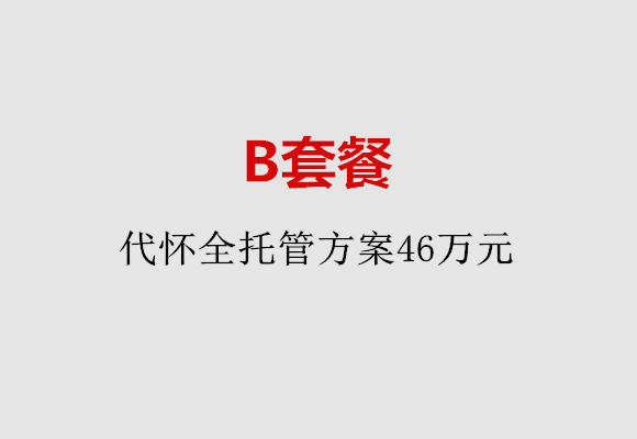 福州B套餐：代怀全托管方案46万元